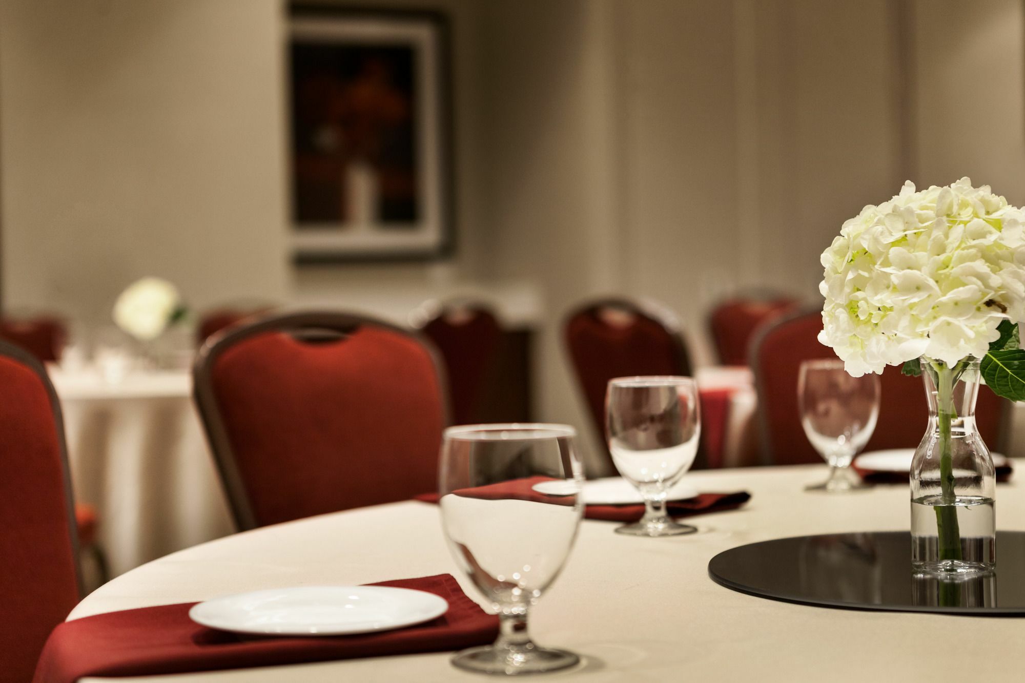 Hilton Garden Inn Charlotte Southpark Екстер'єр фото